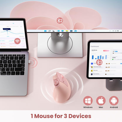 seenda MOU-302 Ergonomic Wireless Mouse White Purple